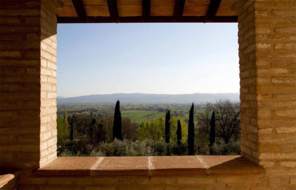 Villa Degli Ulivi