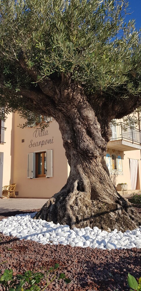 Villa Scarponi