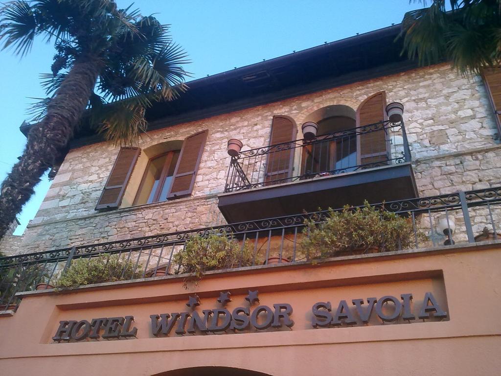 Windsor Savoia