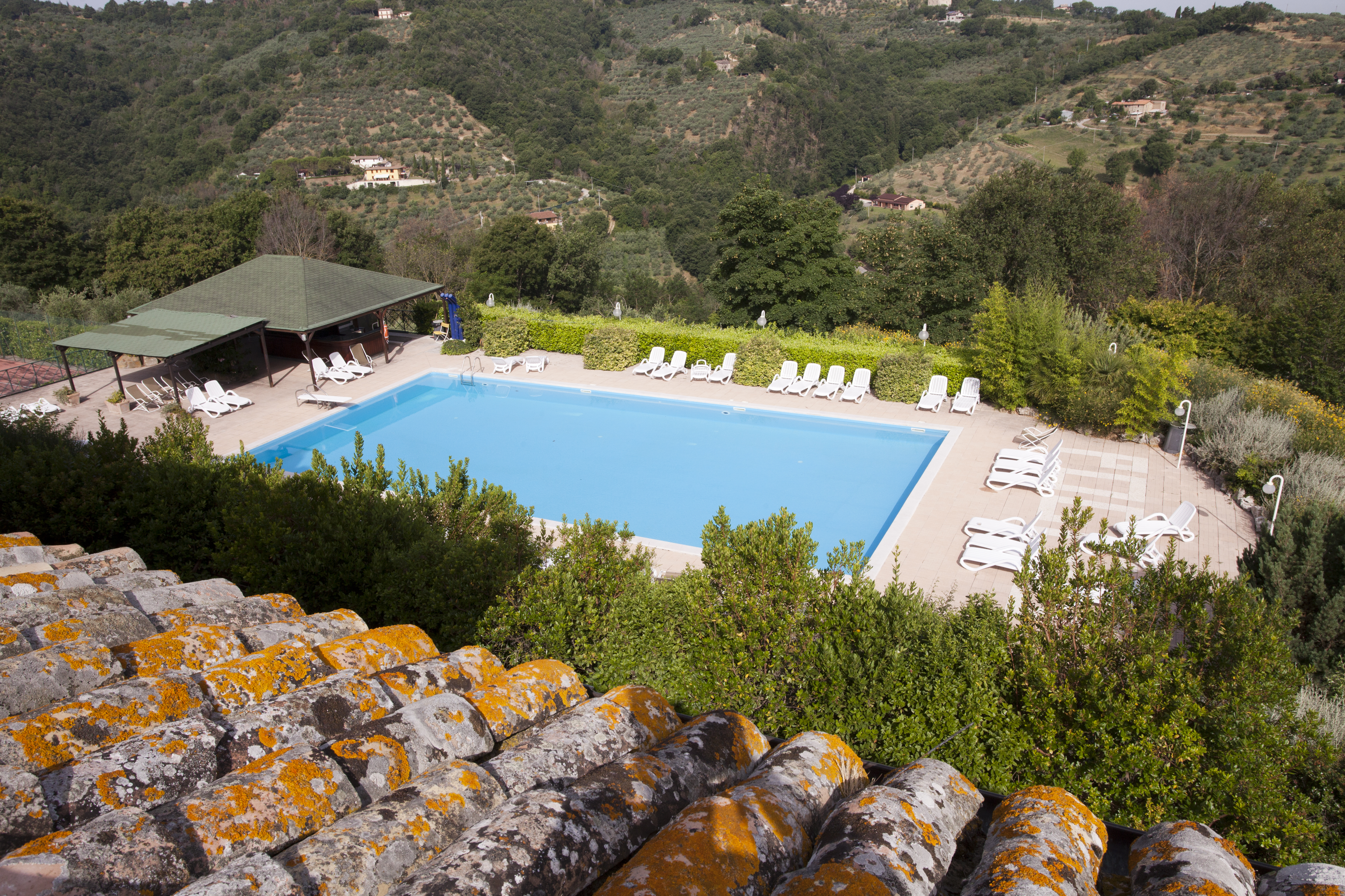 Il Poggio degli Olivi