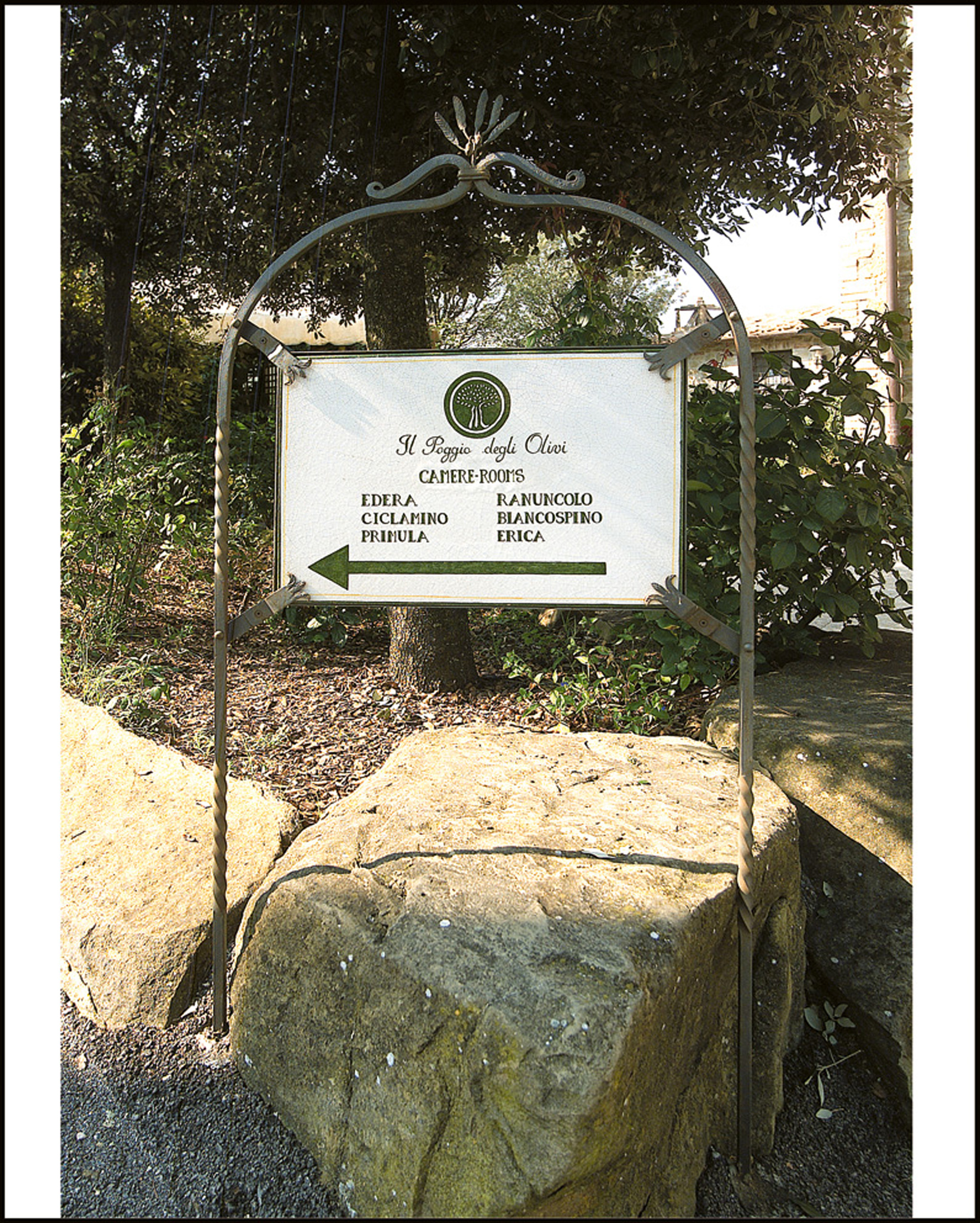 Il Poggio degli Olivi