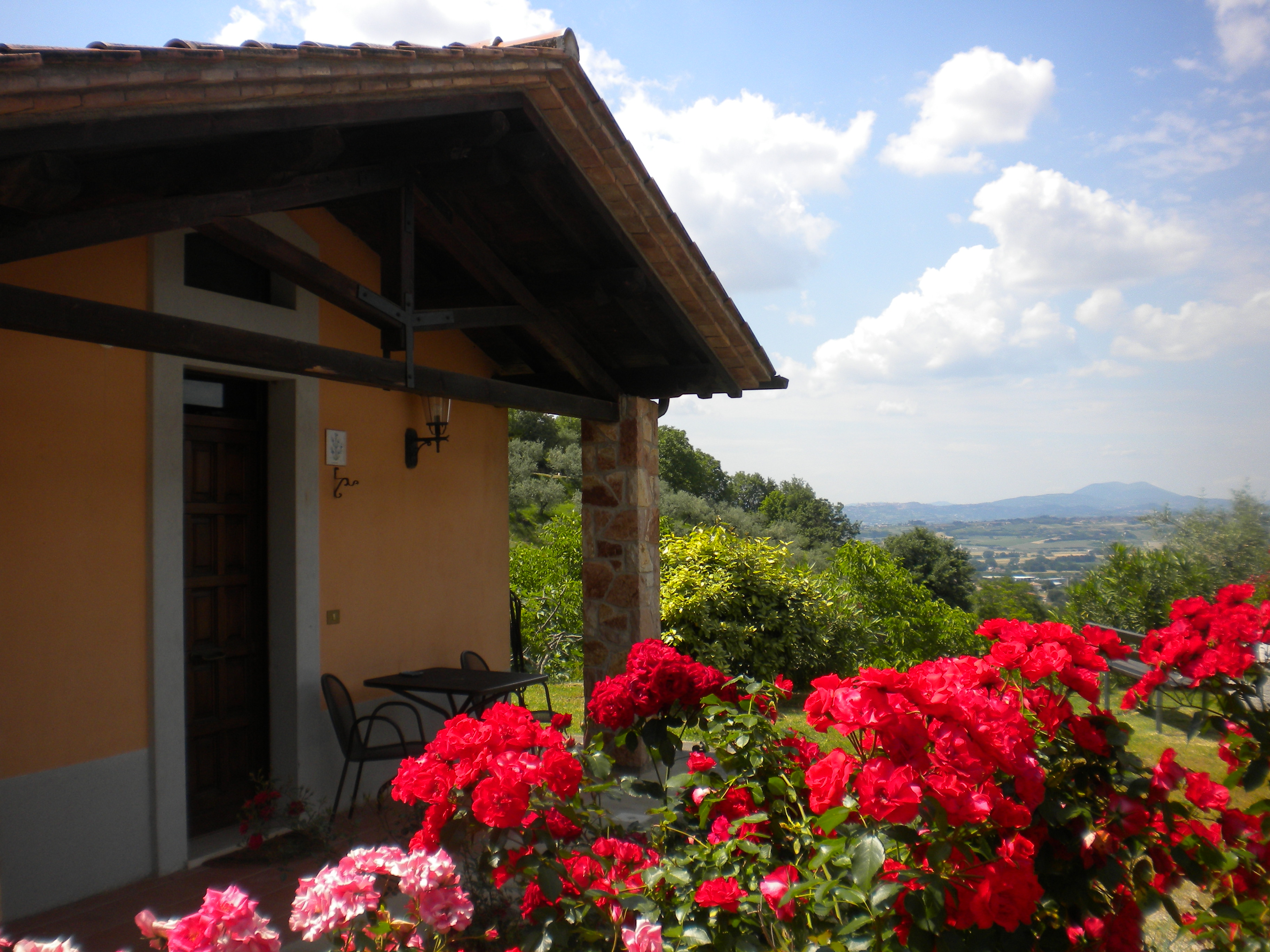Il Poggio degli Olivi