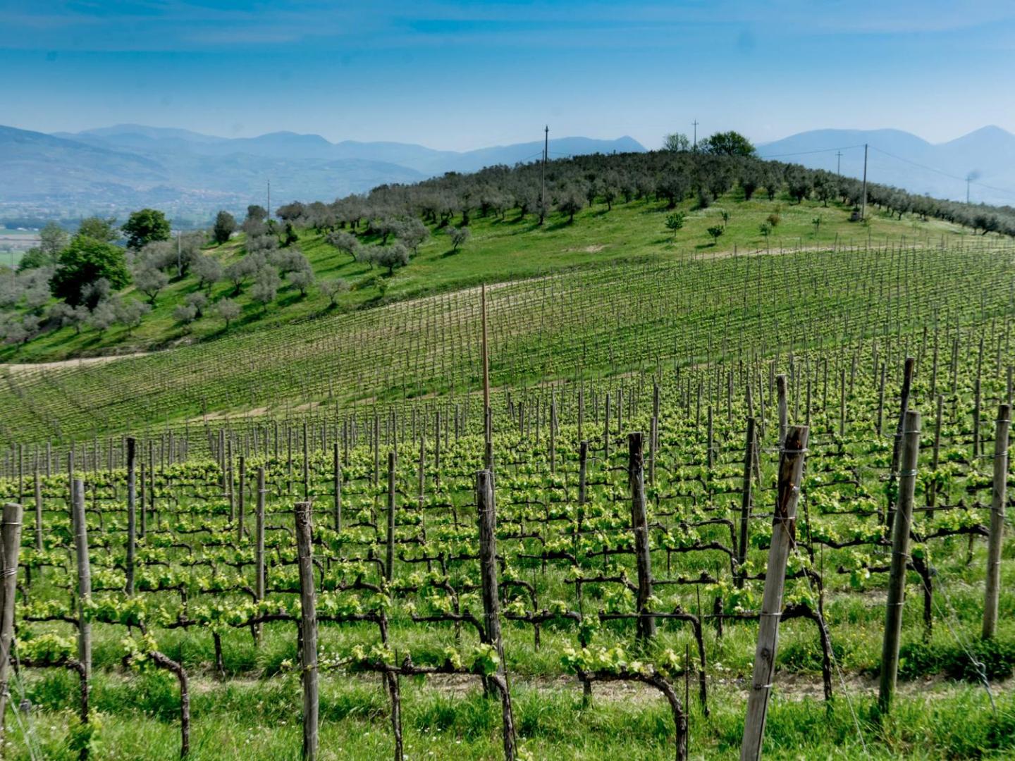 Ostello Bello Assisi Bevagna
