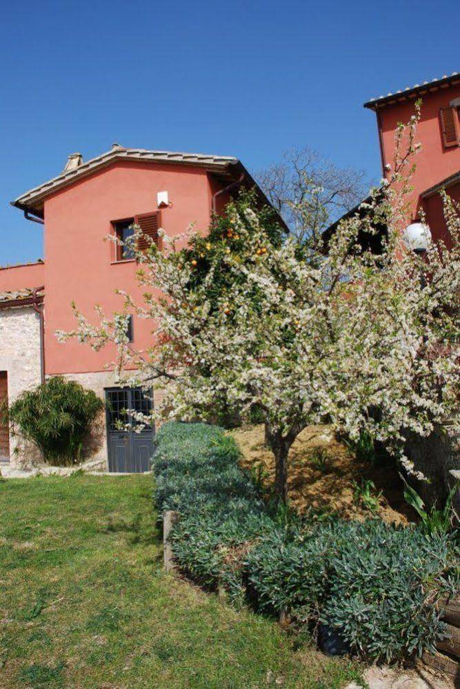 Agriturismo Tenuta San Savino Delle Rocchette