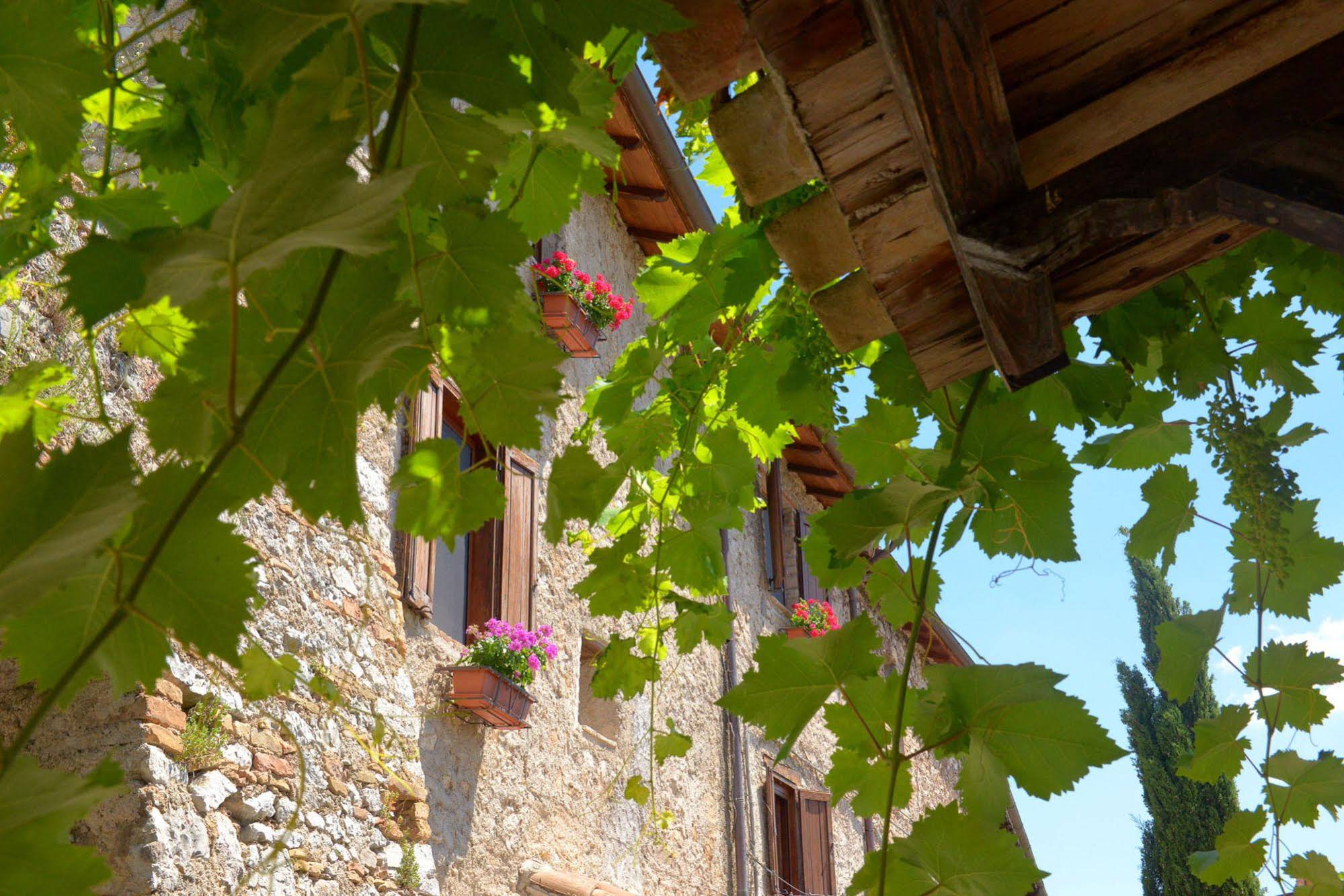 Borgo Lizori