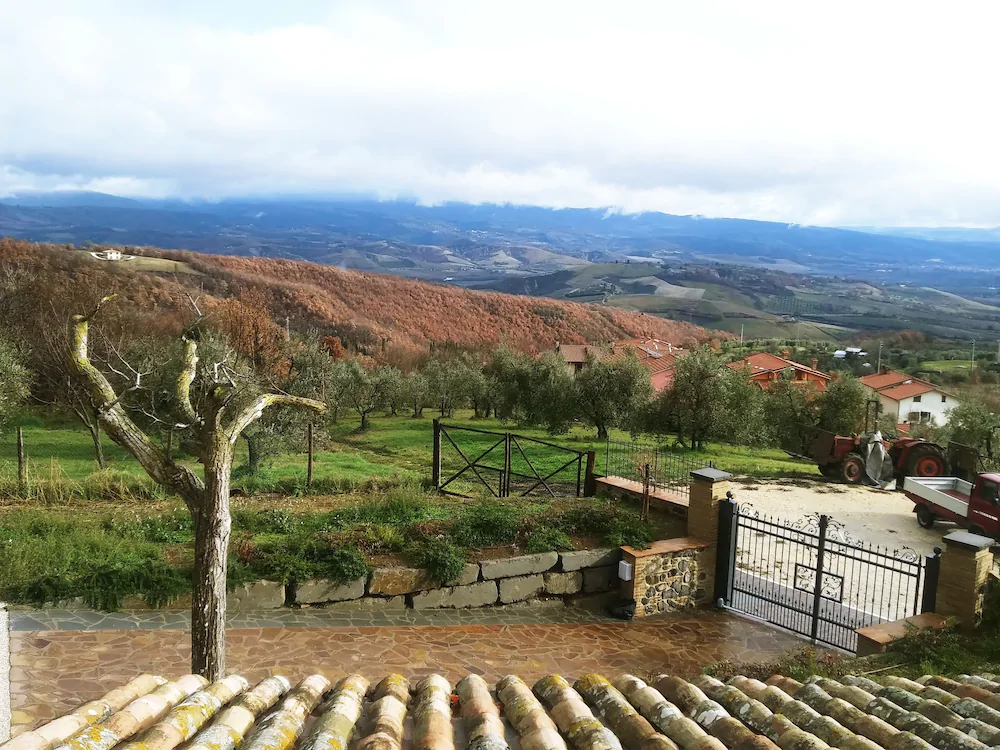Podere Del Papa
