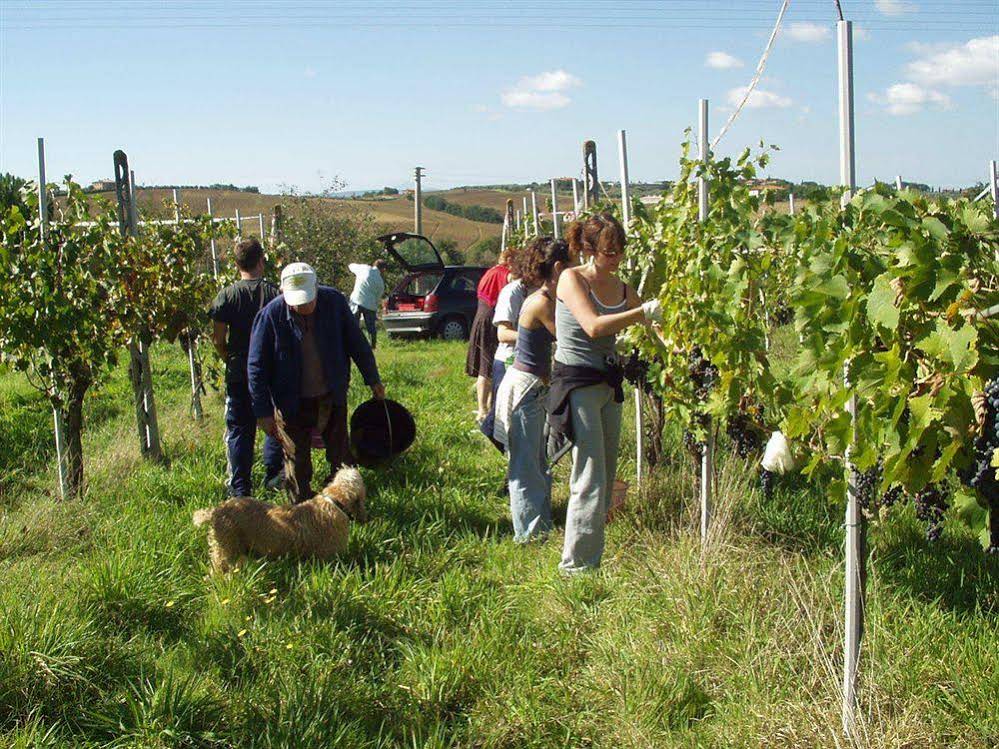 Agriturismo Frattavecchia