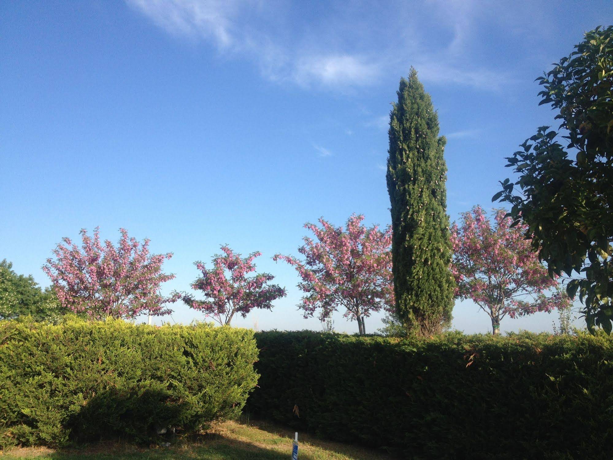 Agriturismo Frattavecchia