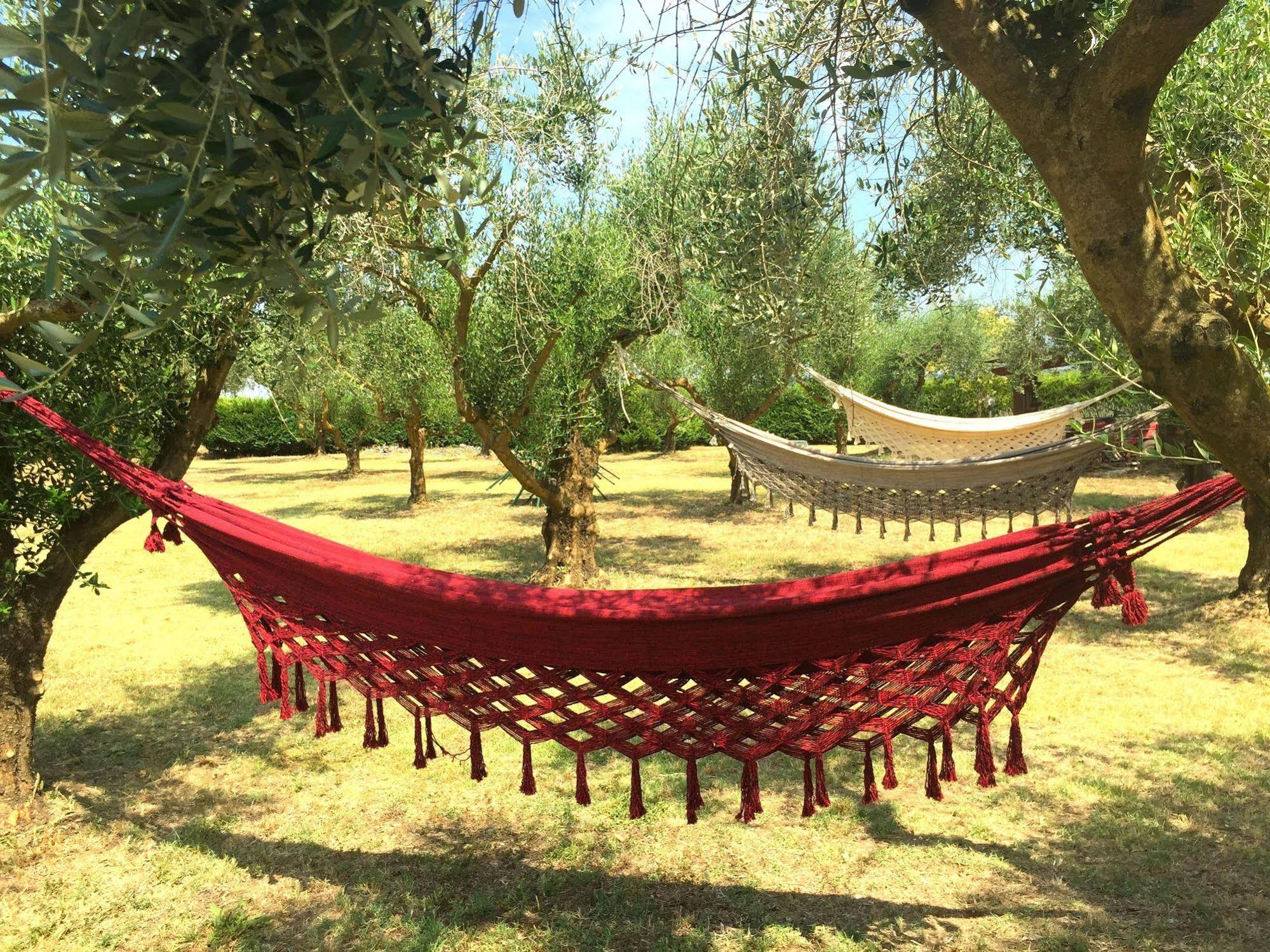 Agriturismo Frattavecchia