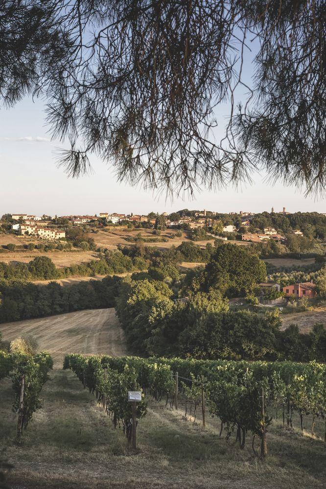 Al Poggio dei Papi