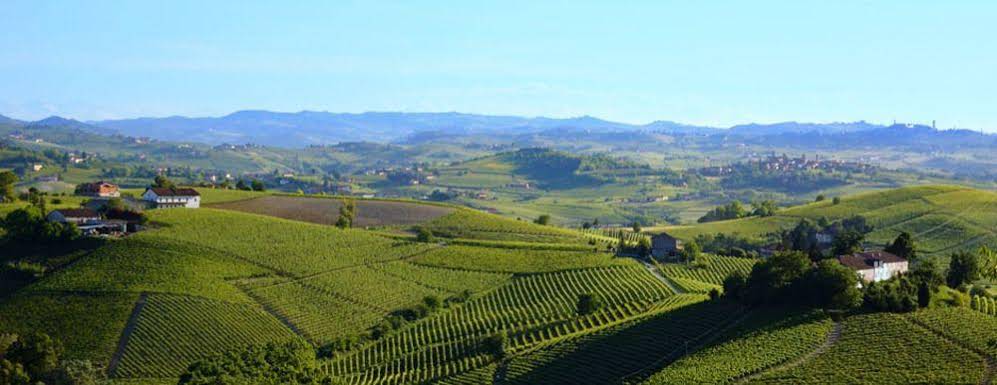 Il Felcino