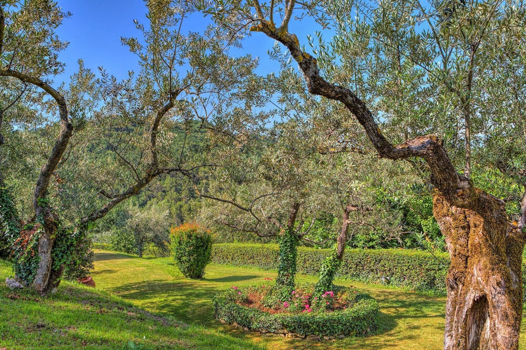 Casa Degli Oleandri 8 by Emma Villas