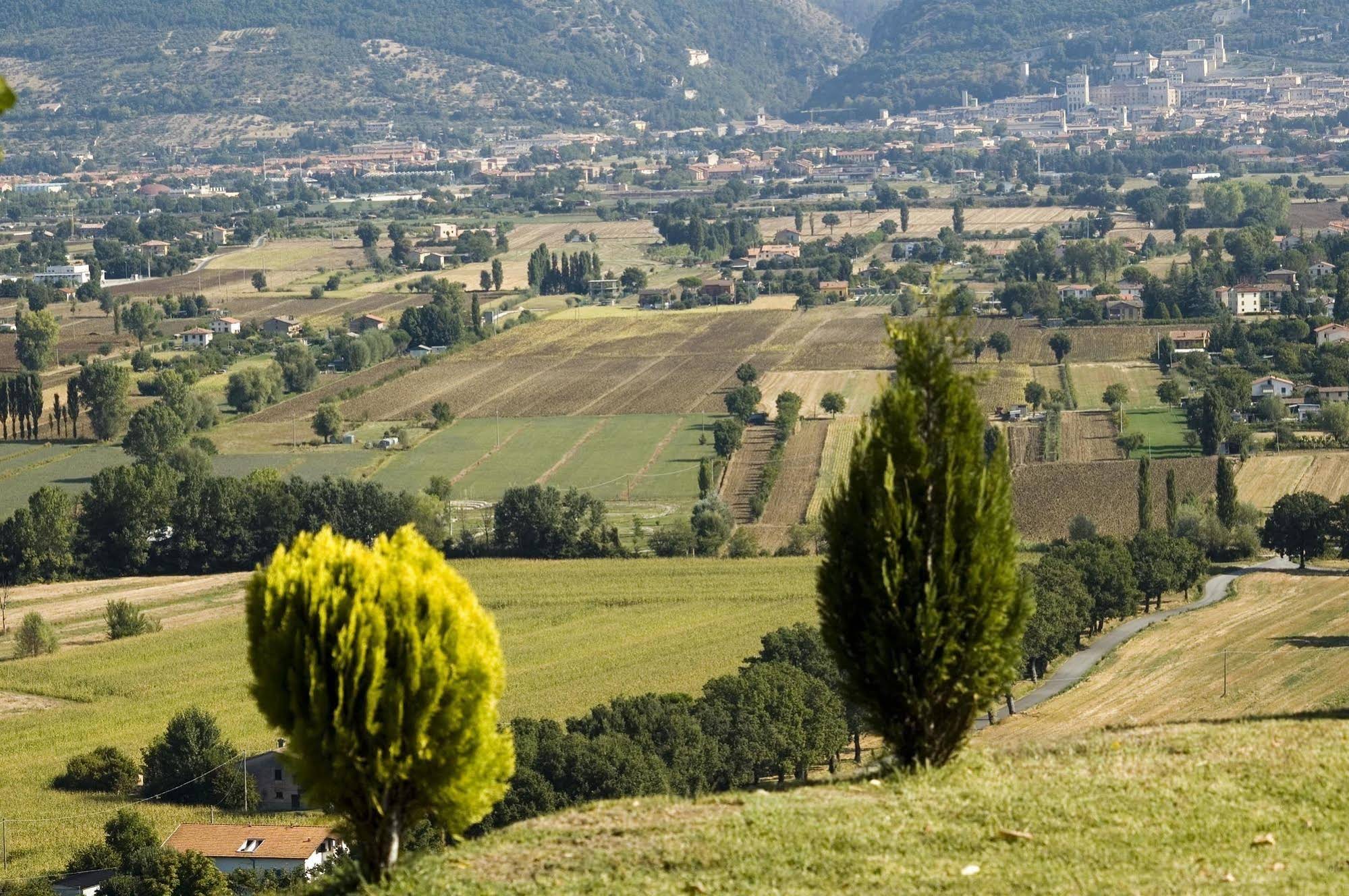 Azienda Agraria Montelujano