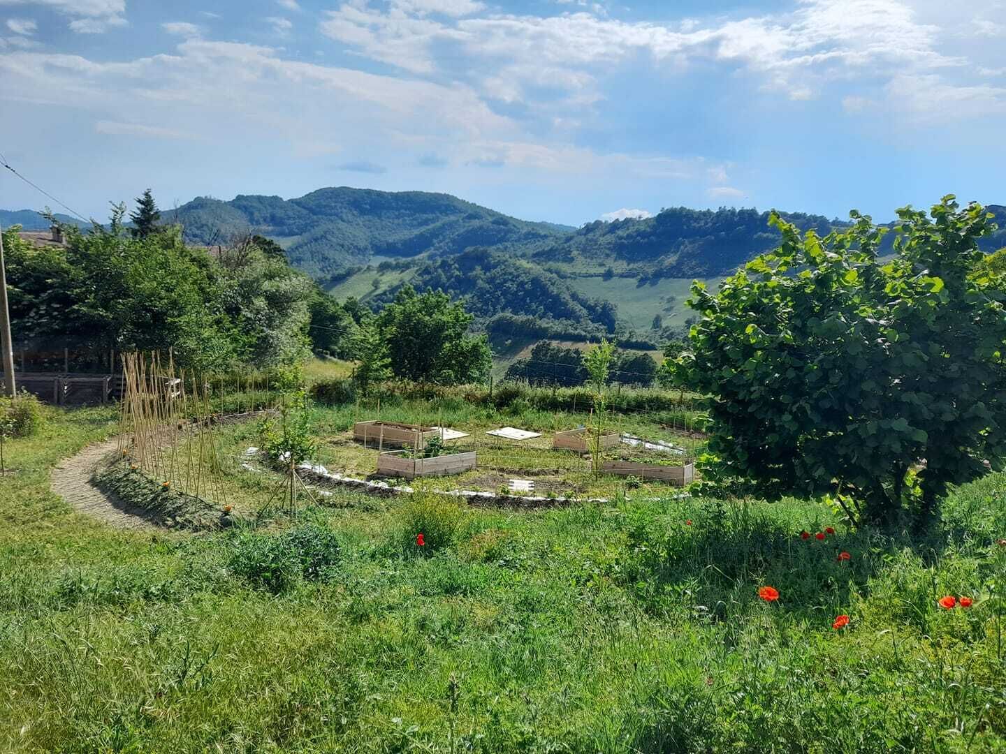 Butteflies Rest