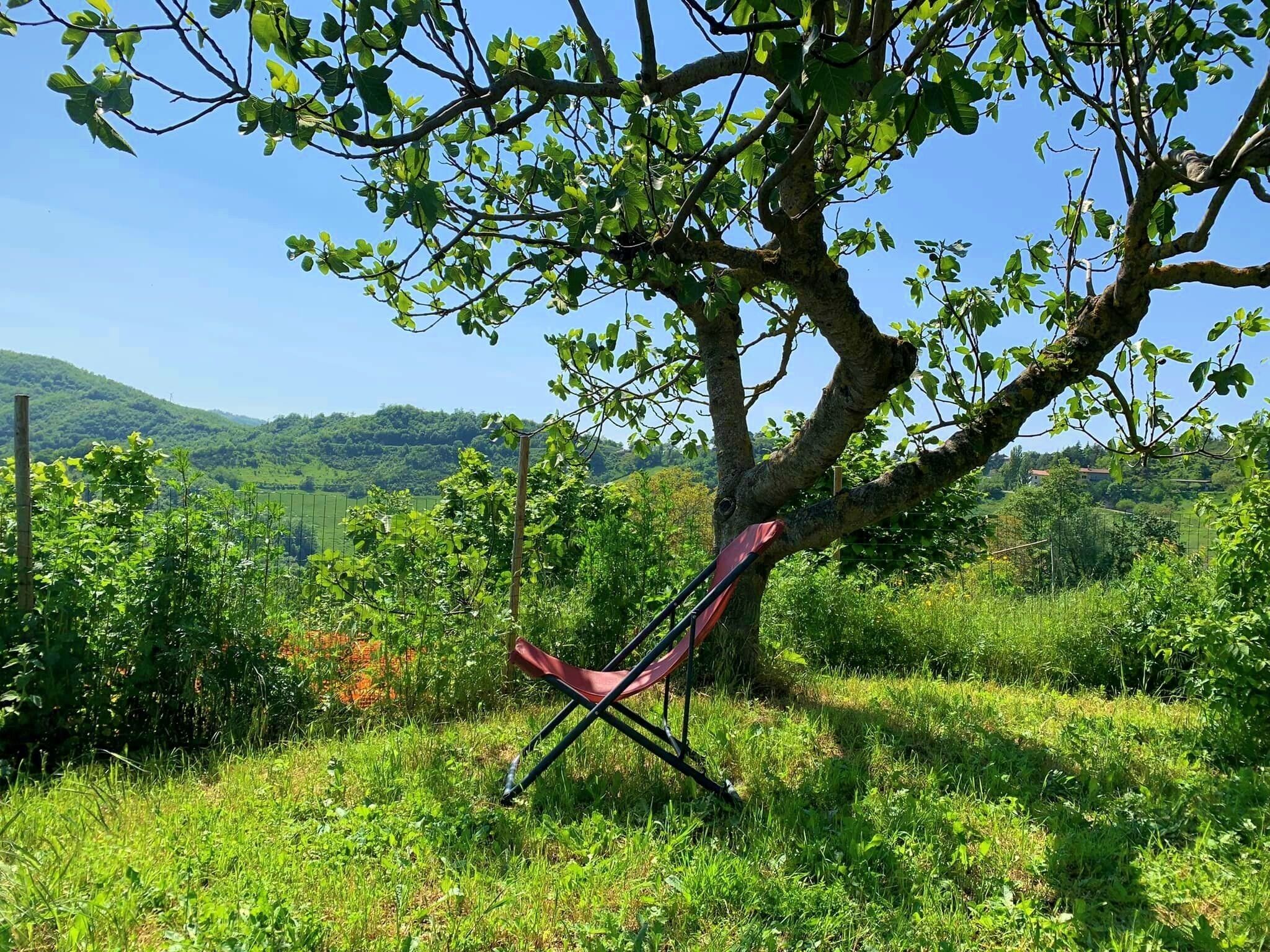 Butteflies Rest