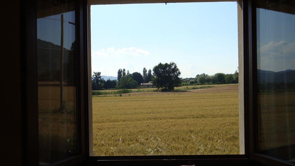 Fontecese