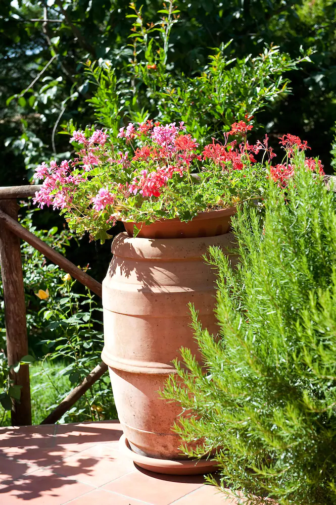 Borgo San Savino