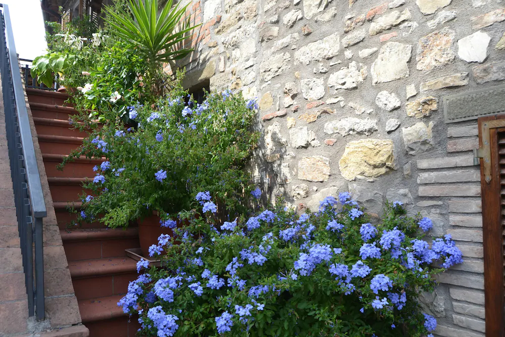 Borgo San Savino