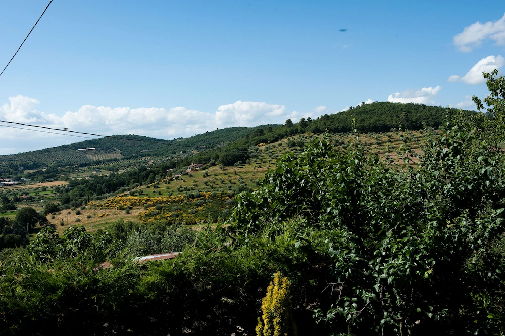 Borgo San Savino