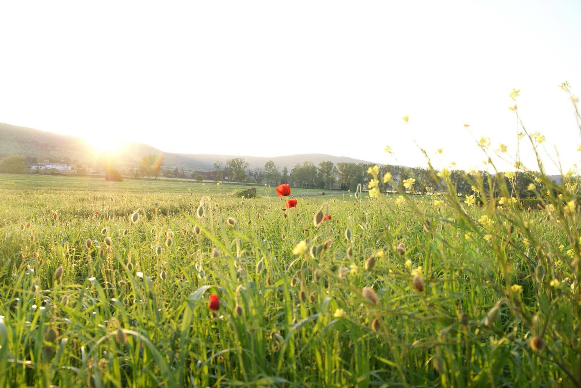 La Casa Di Campagna