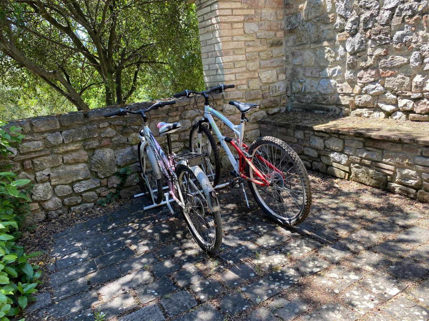 Rocca di Mantignana