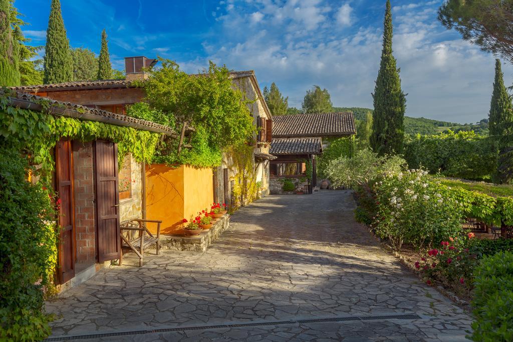 Fattoria di Vibio