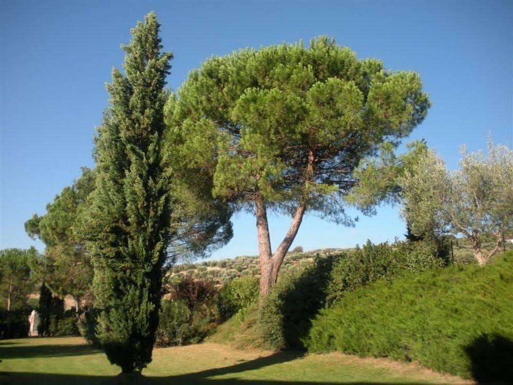 Casale della Staffa