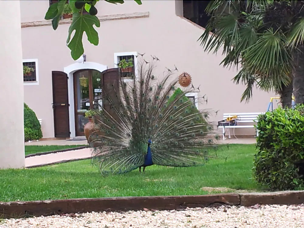 Agriturismo La Contea by Bice