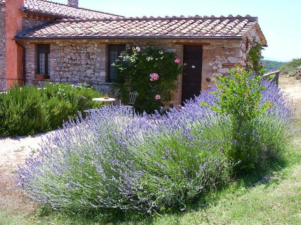 Podere Costa Romana