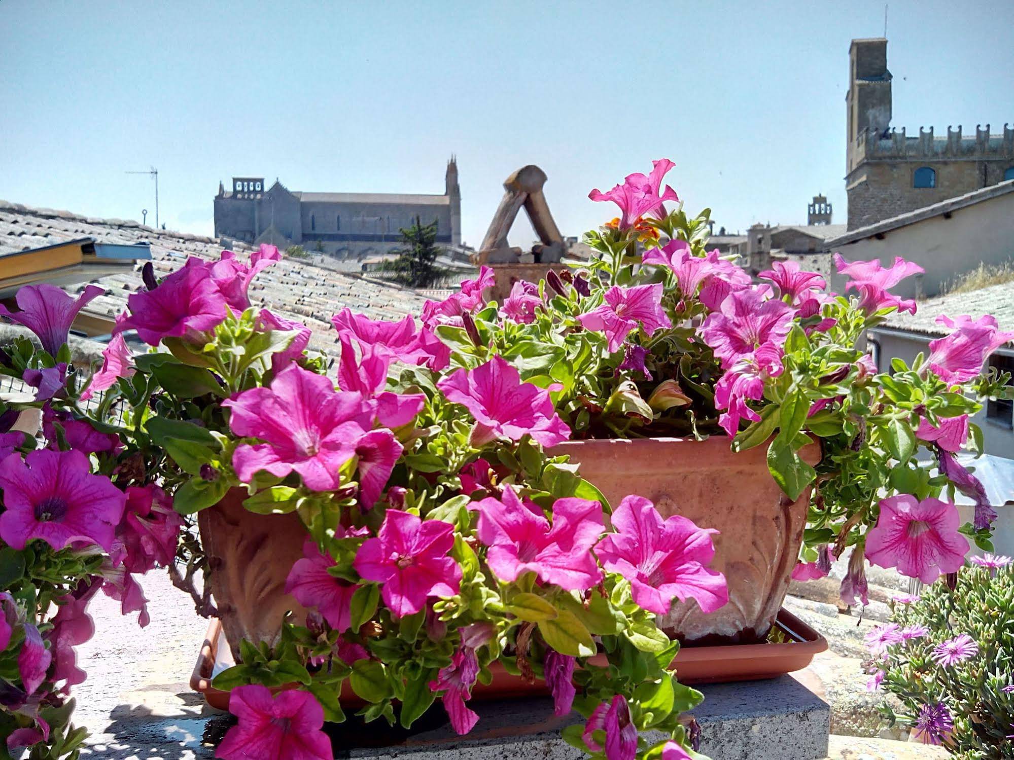 Orvieto in Terrazza