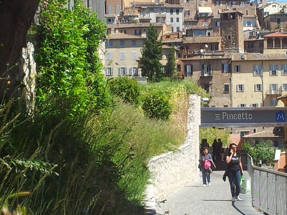 Al Giardino di Alice