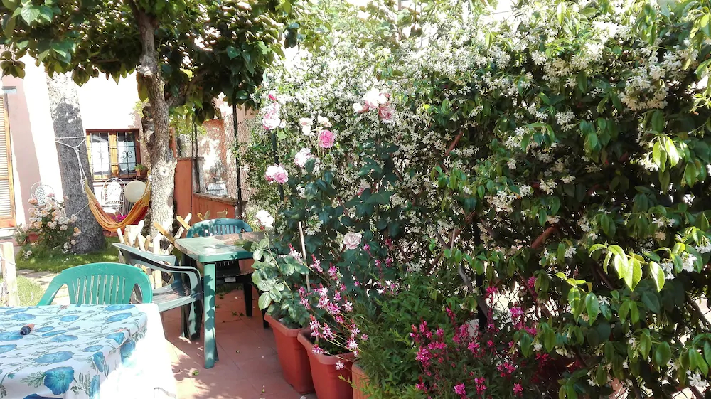 Al Giardino di Alice