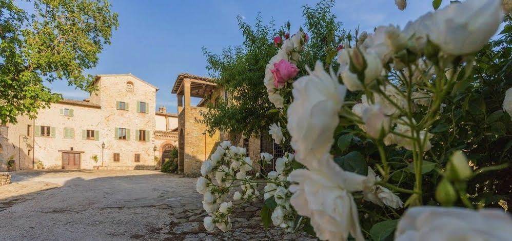Borgo Colognola - Dimora Storica