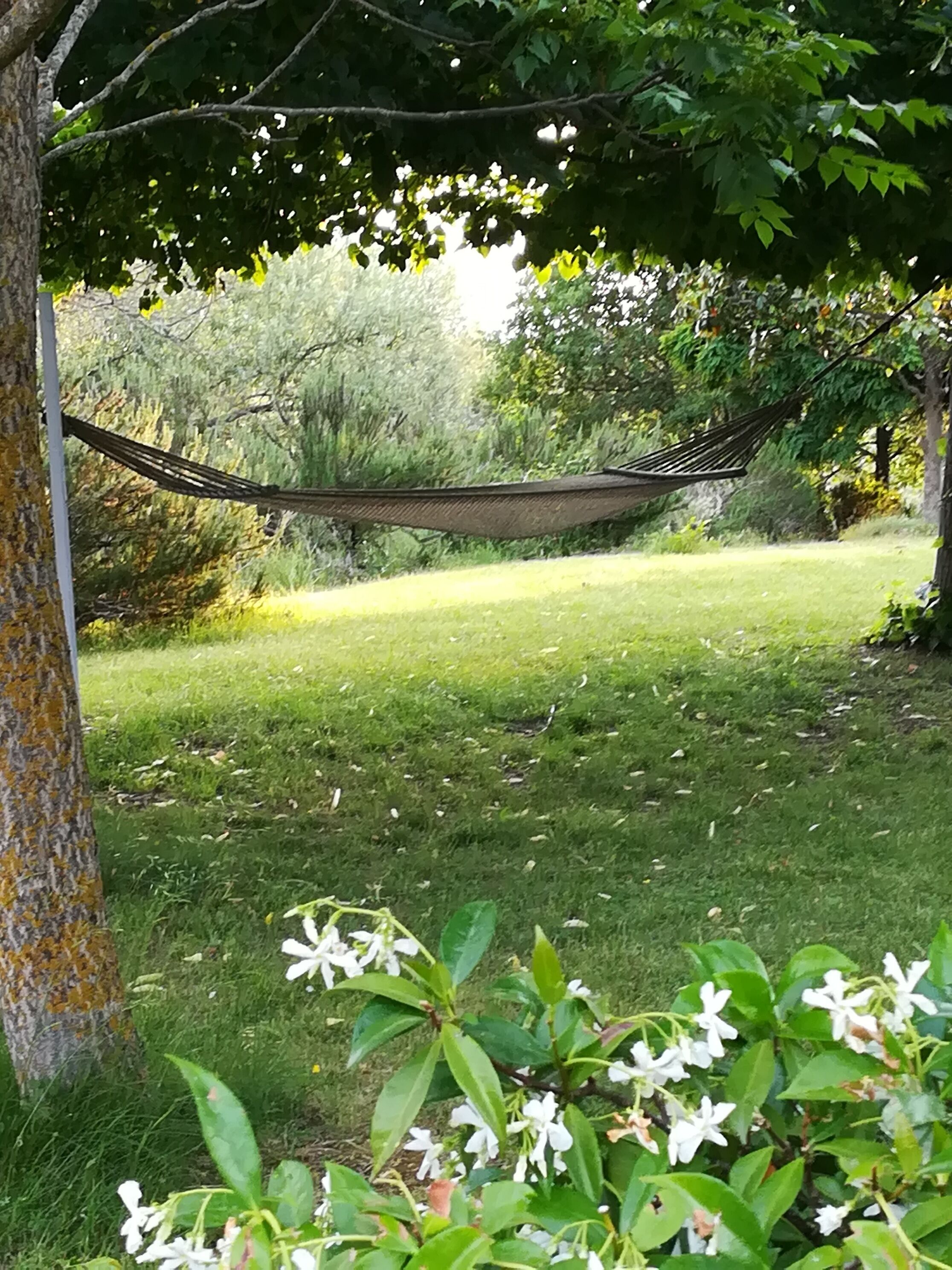 Casale Giuncheto