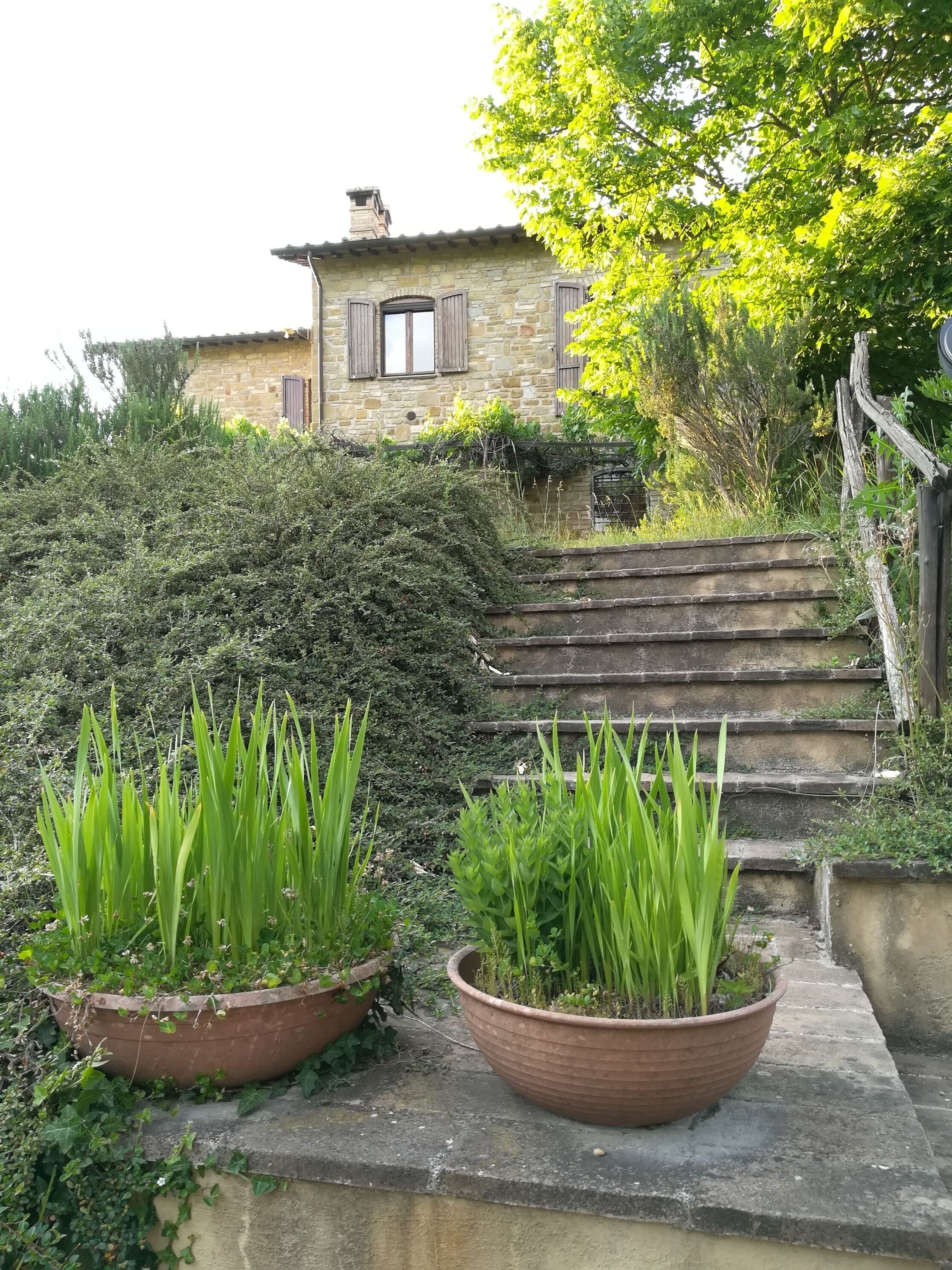 Casale Giuncheto