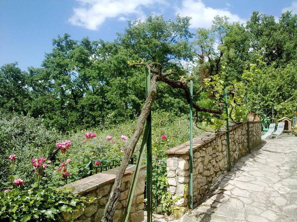 Il Querceto