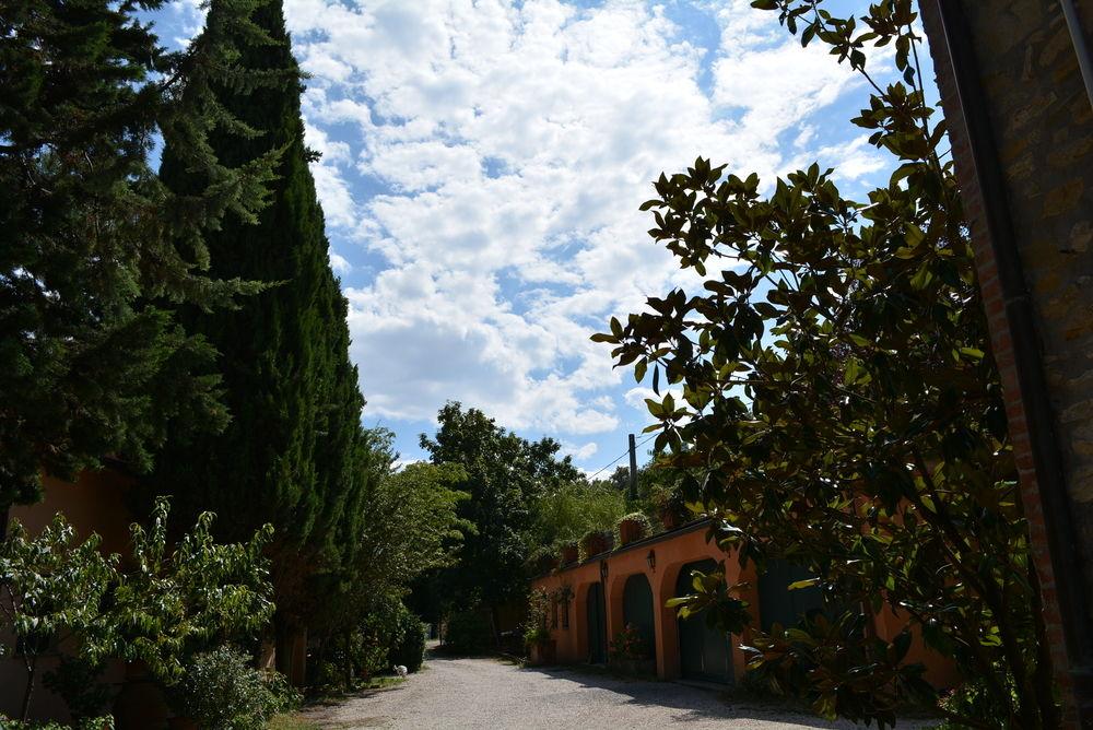 La Volpe e L'Uva
