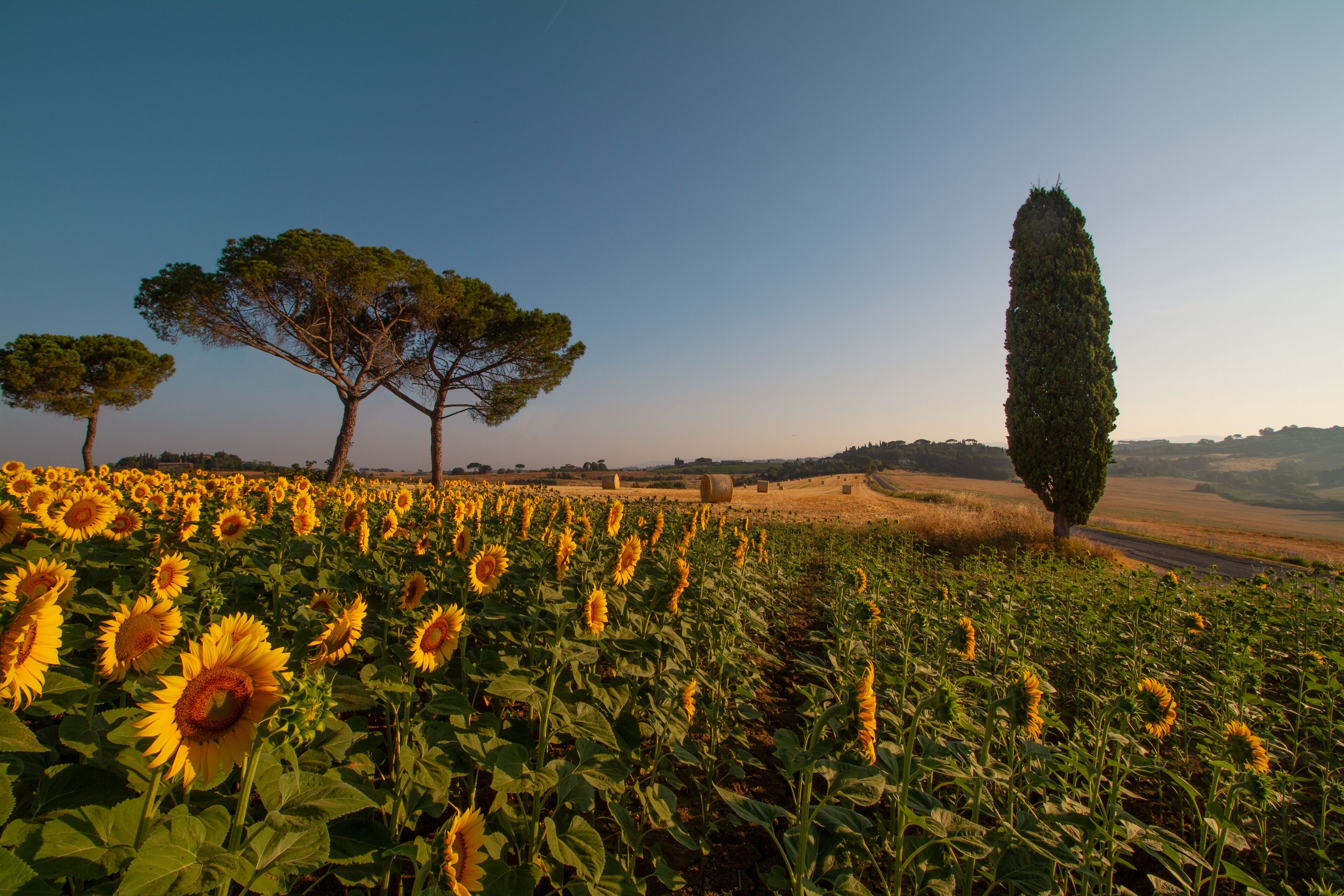 Villa Cozzano