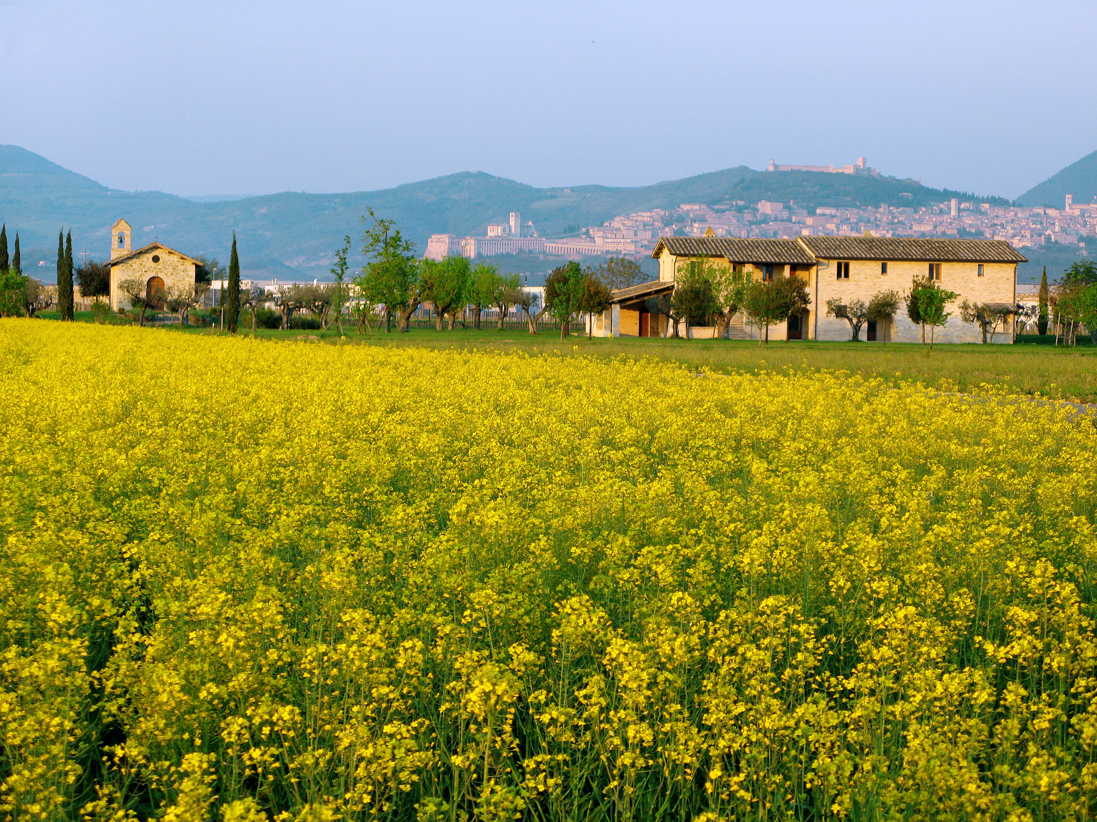 Valle di Assisi Country Apartments
