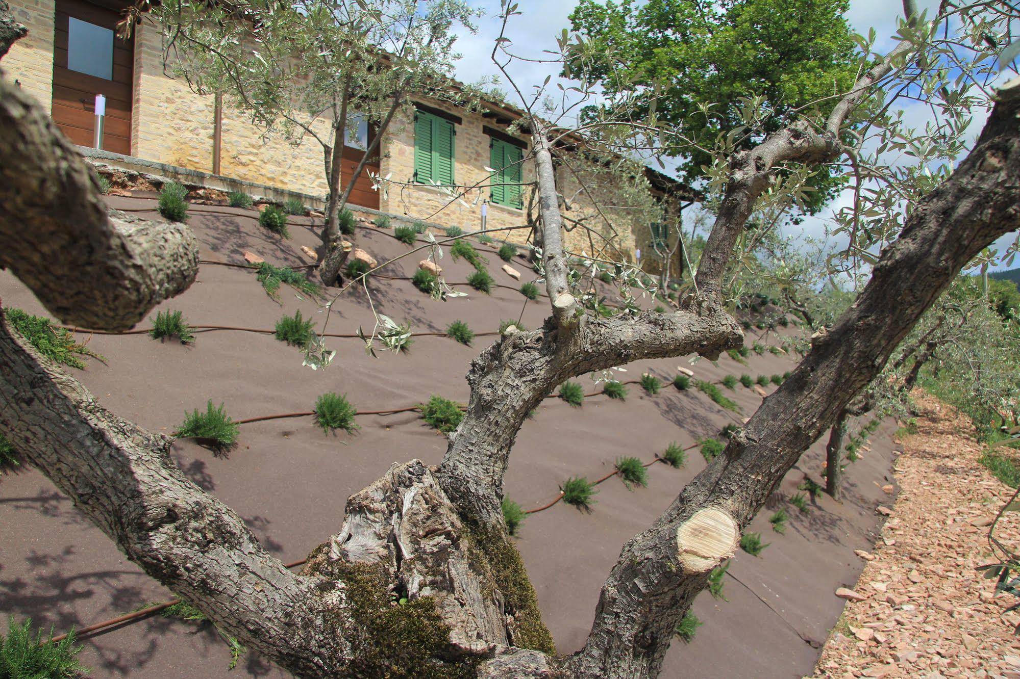 Pekko Country House