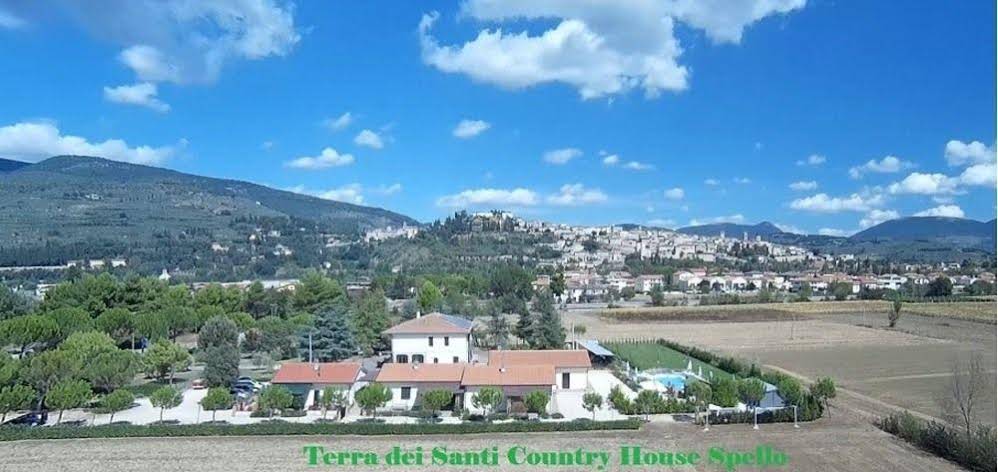 Terra dei Santi