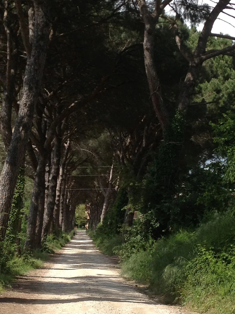 Agriturismo La Montagnola