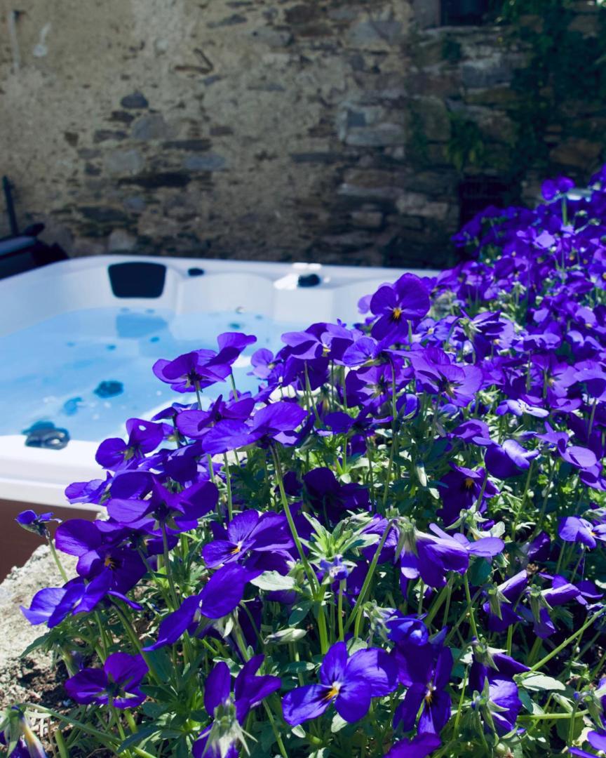 Stresa Complex Levoasi