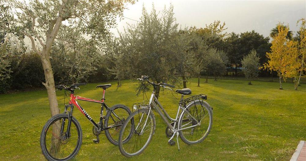 Park Hotel il Vigneto