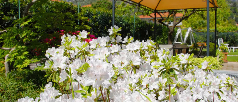 Residence La Porta Del Cuore