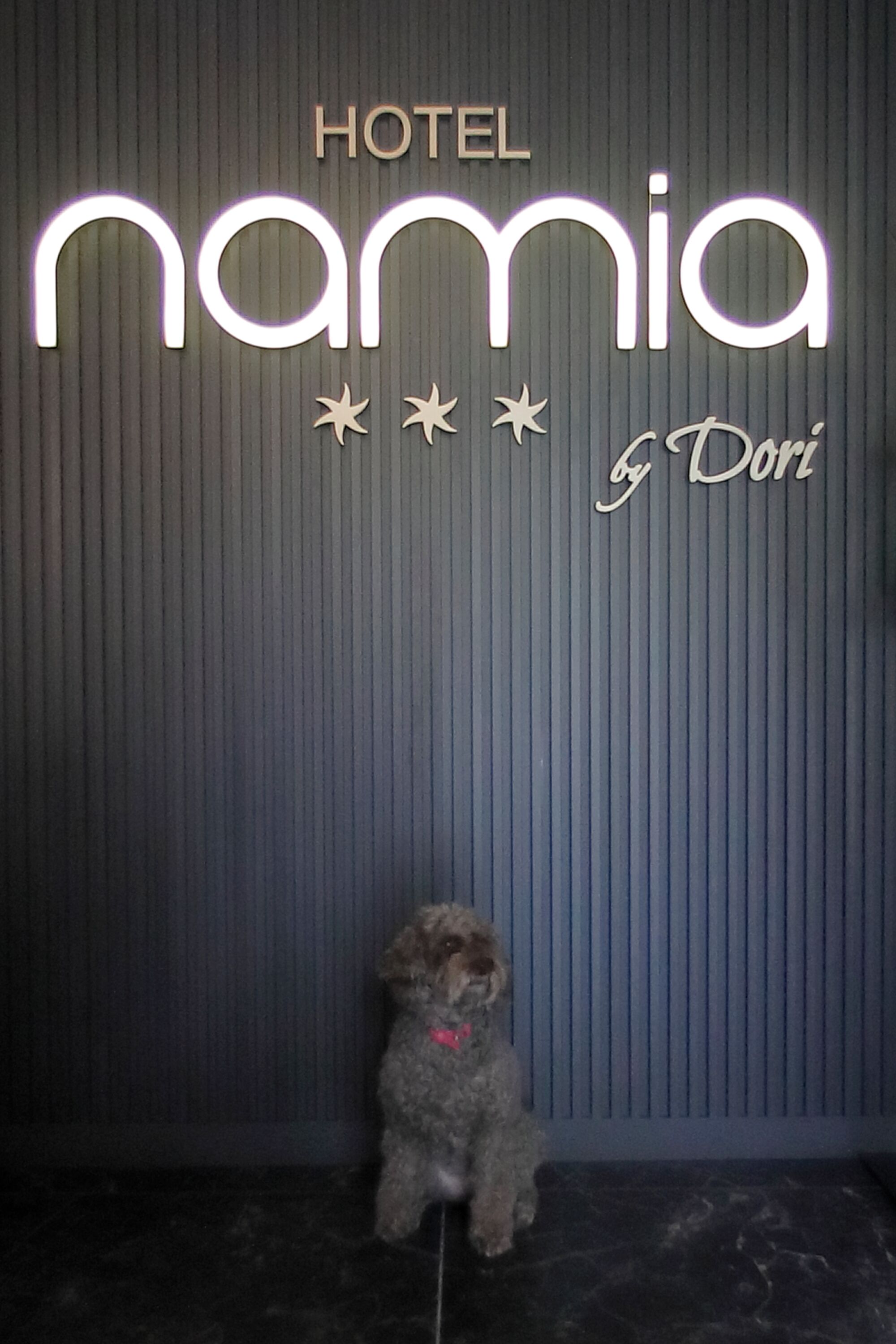 Hotel Namia By Dori