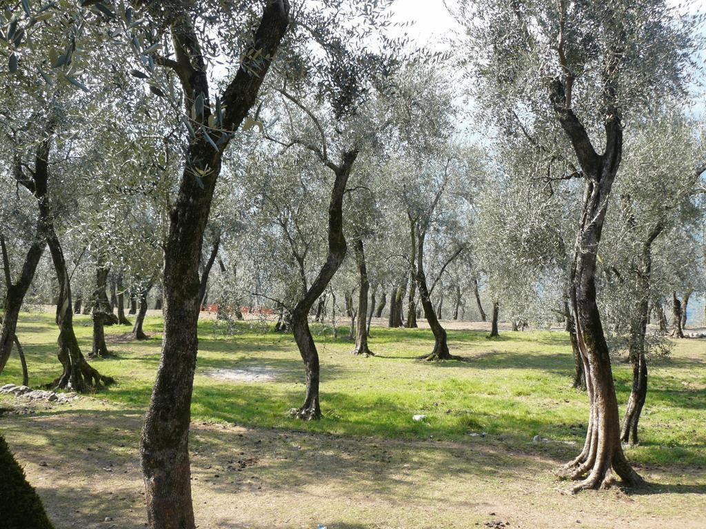 La Caletta Bolognese