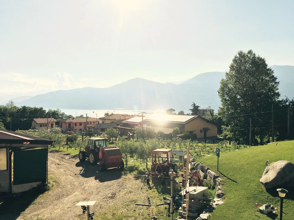 La Betulla