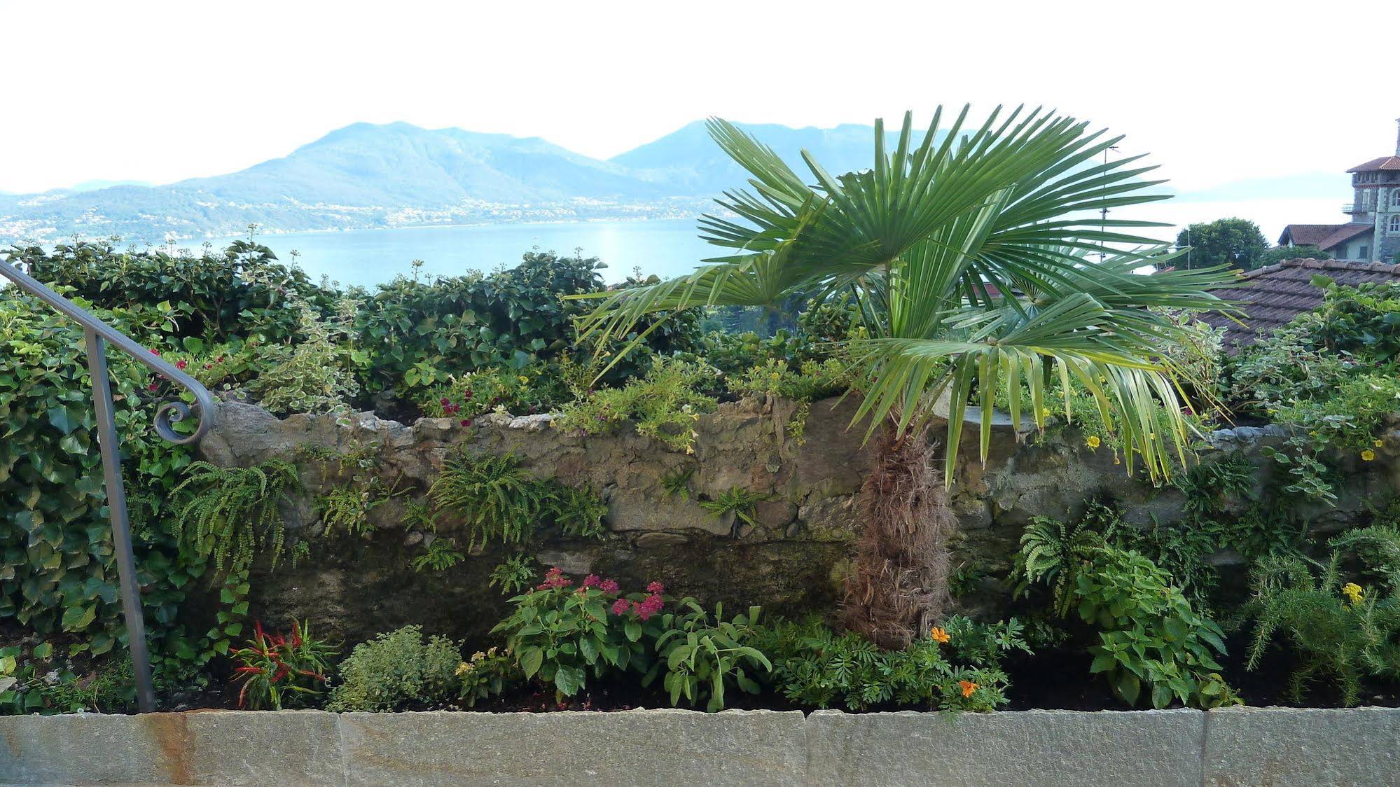 Bed and Breakfast Casa Forster