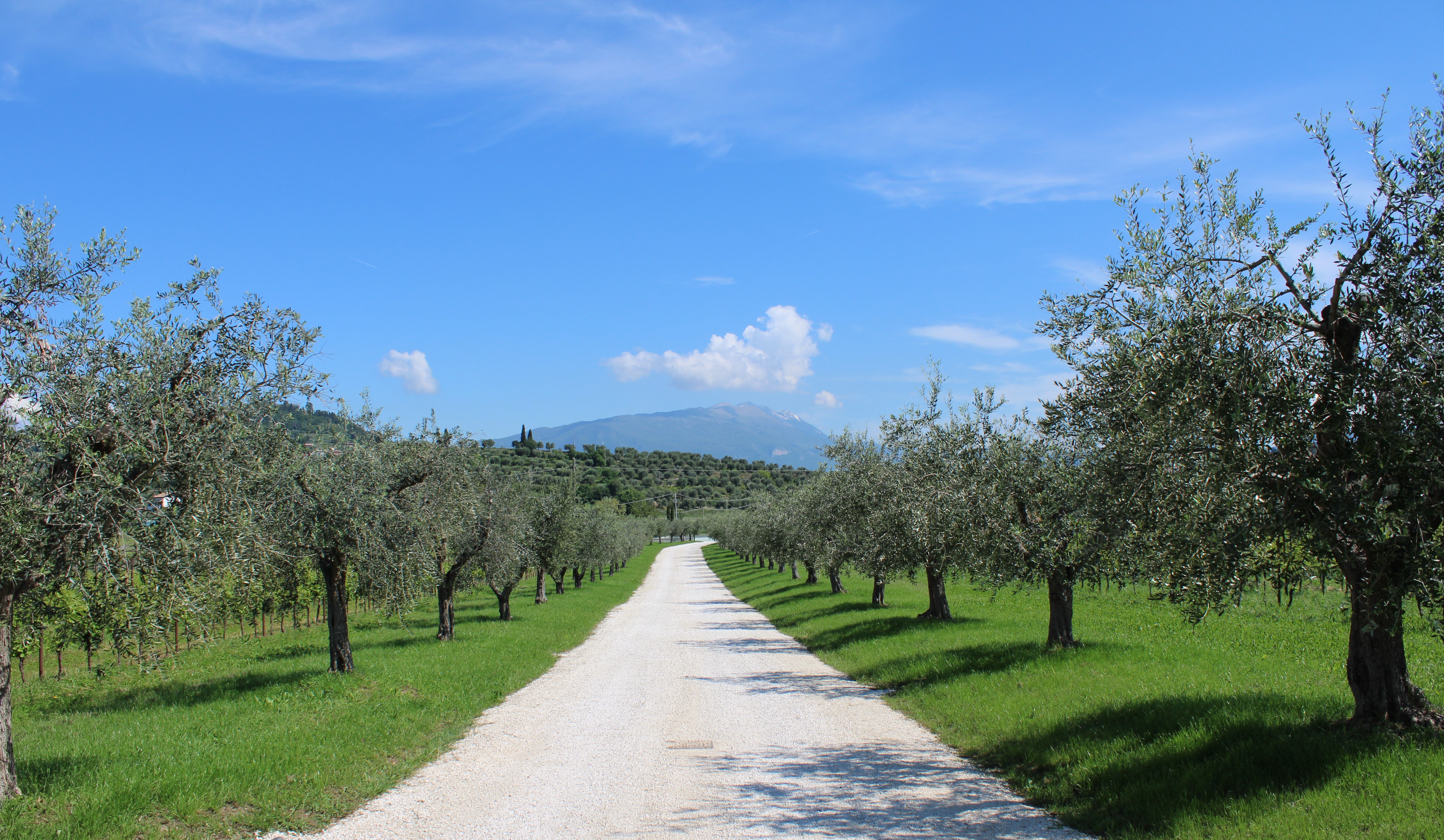 Borgo Romantico Relais